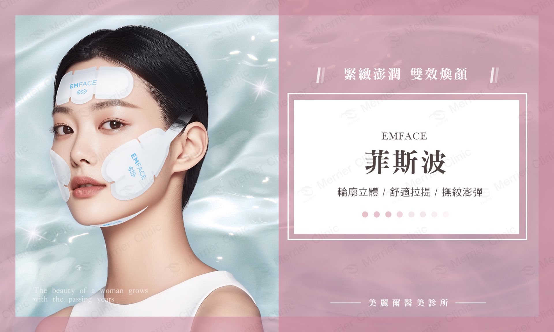 EMFACE 菲斯波